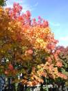 20071025_sapporo_1